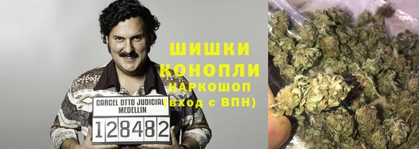 ПСИЛОЦИБИНОВЫЕ ГРИБЫ Осинники
