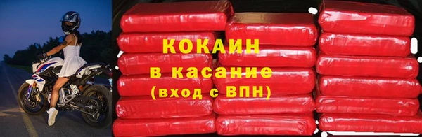ПСИЛОЦИБИНОВЫЕ ГРИБЫ Осинники