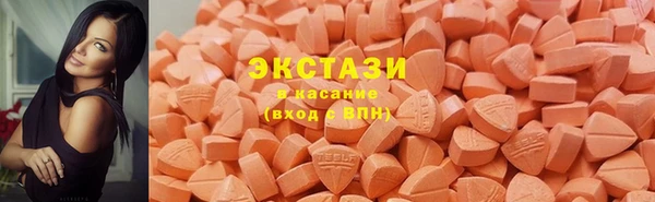 ПСИЛОЦИБИНОВЫЕ ГРИБЫ Осинники