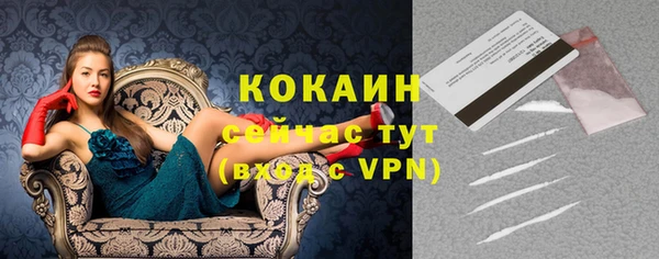 ПСИЛОЦИБИНОВЫЕ ГРИБЫ Осинники