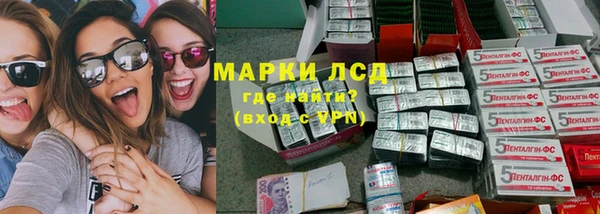 ПСИЛОЦИБИНОВЫЕ ГРИБЫ Осинники