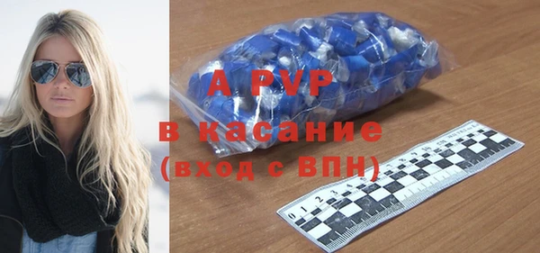 ПСИЛОЦИБИНОВЫЕ ГРИБЫ Осинники