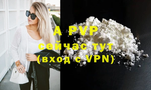 ПСИЛОЦИБИНОВЫЕ ГРИБЫ Осинники