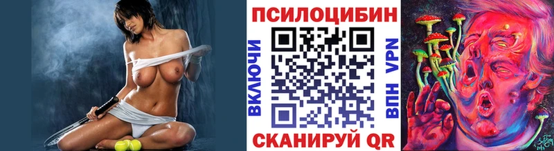 Галлюциногенные грибы прущие грибы ОМГ ОМГ рабочий сайт Тимашёвск наркошоп