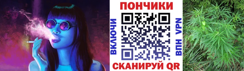 hydra ссылка  нарко площадка какой сайт  Шишки марихуана AK-47  Тимашёвск 